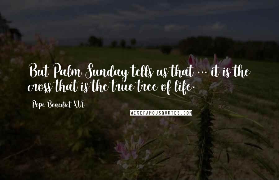 Pope Benedict XVI Quotes: But Palm Sunday tells us that ... it is the cross that is the true tree of life.