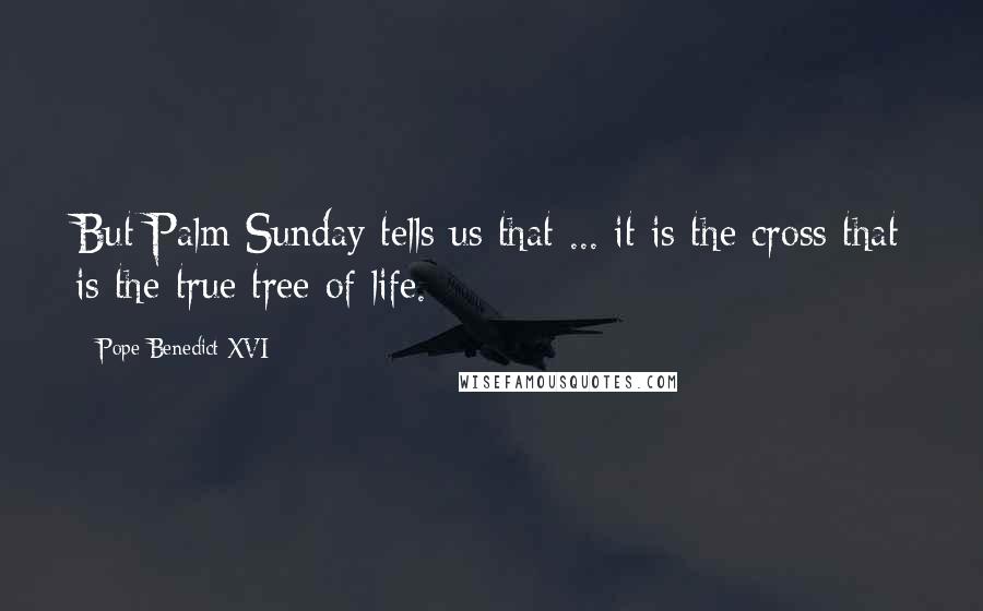 Pope Benedict XVI Quotes: But Palm Sunday tells us that ... it is the cross that is the true tree of life.