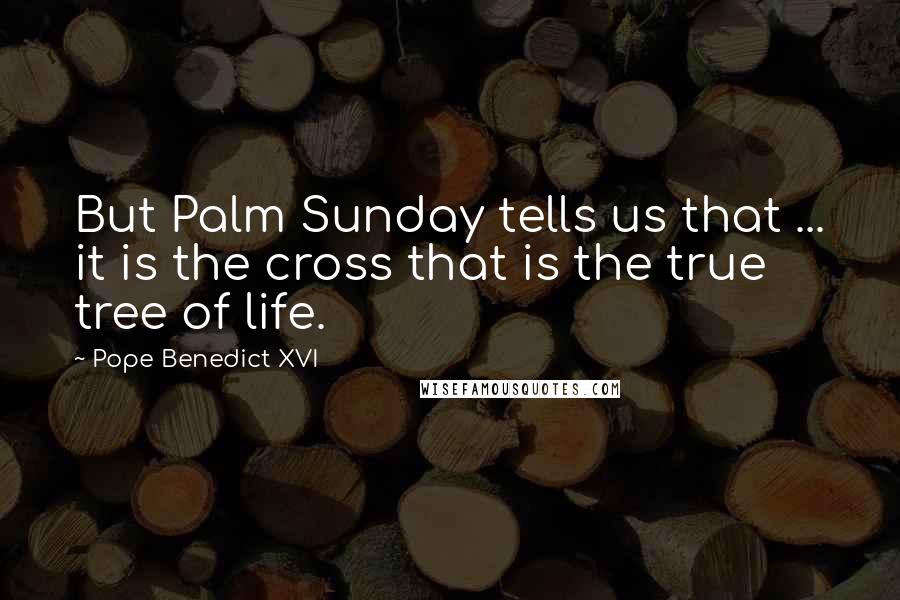 Pope Benedict XVI Quotes: But Palm Sunday tells us that ... it is the cross that is the true tree of life.