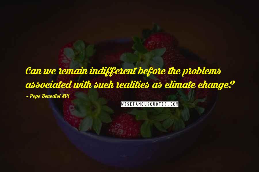 Pope Benedict XVI Quotes: Can we remain indifferent before the problems associated with such realities as climate change?