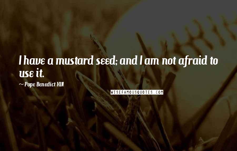 Pope Benedict XVI Quotes: I have a mustard seed; and I am not afraid to use it.