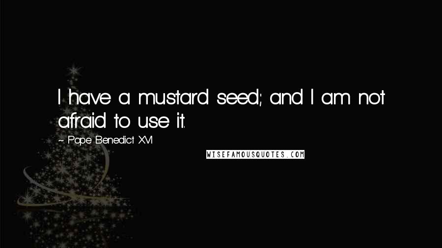 Pope Benedict XVI Quotes: I have a mustard seed; and I am not afraid to use it.