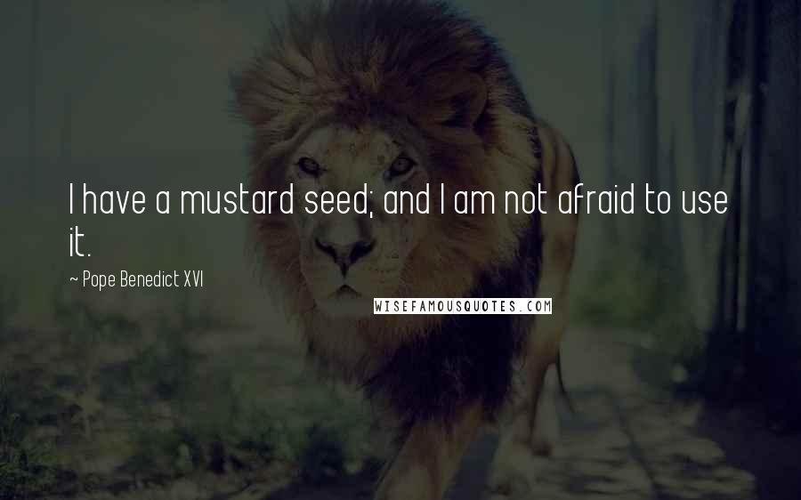 Pope Benedict XVI Quotes: I have a mustard seed; and I am not afraid to use it.