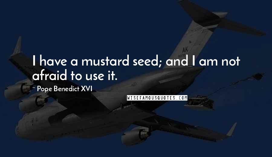 Pope Benedict XVI Quotes: I have a mustard seed; and I am not afraid to use it.