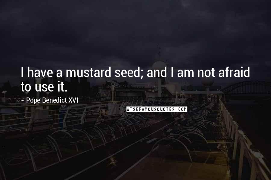 Pope Benedict XVI Quotes: I have a mustard seed; and I am not afraid to use it.