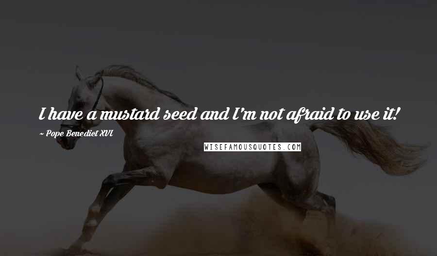 Pope Benedict XVI Quotes: I have a mustard seed and I'm not afraid to use it!