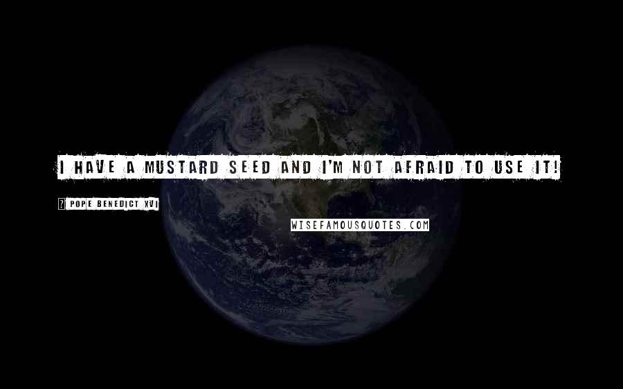 Pope Benedict XVI Quotes: I have a mustard seed and I'm not afraid to use it!