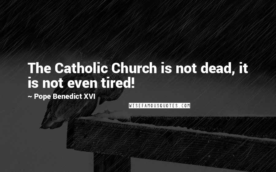 Pope Benedict XVI Quotes: The Catholic Church is not dead, it is not even tired!