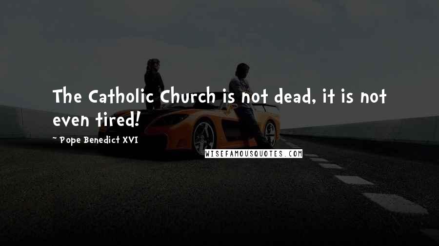 Pope Benedict XVI Quotes: The Catholic Church is not dead, it is not even tired!