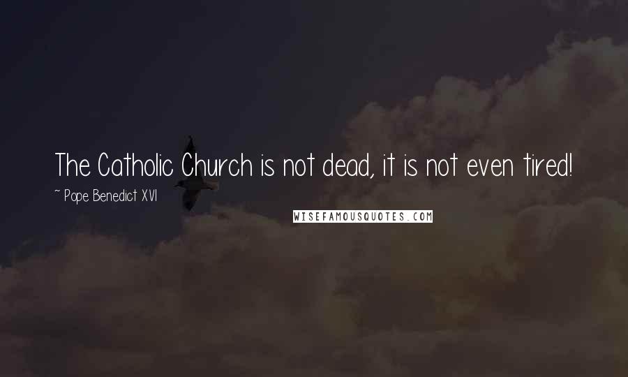 Pope Benedict XVI Quotes: The Catholic Church is not dead, it is not even tired!