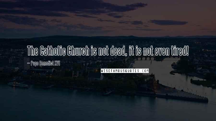 Pope Benedict XVI Quotes: The Catholic Church is not dead, it is not even tired!