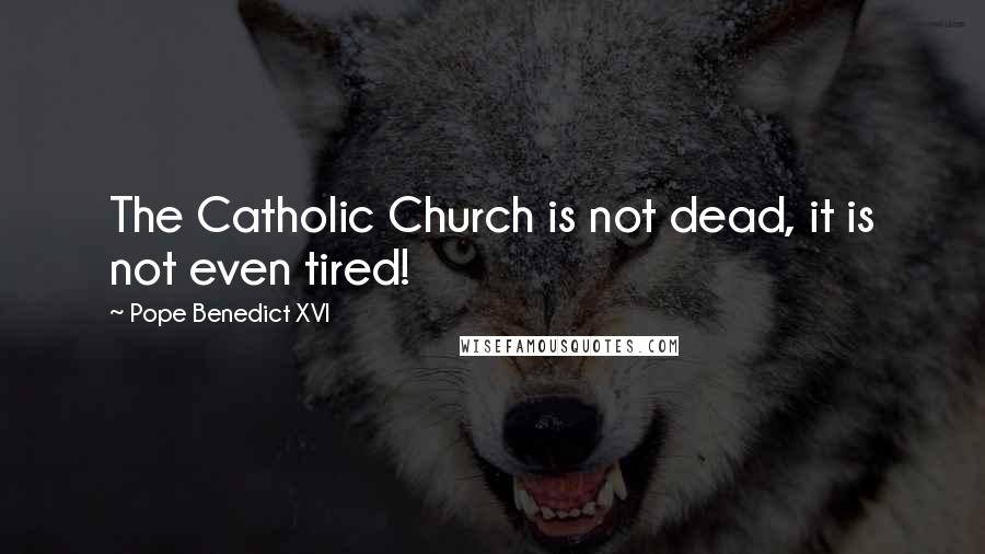 Pope Benedict XVI Quotes: The Catholic Church is not dead, it is not even tired!