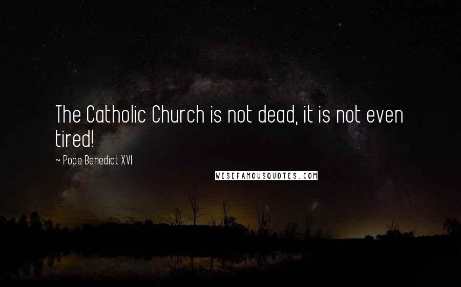 Pope Benedict XVI Quotes: The Catholic Church is not dead, it is not even tired!