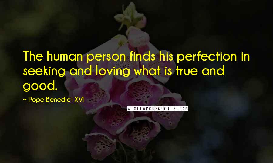 Pope Benedict XVI Quotes: The human person finds his perfection in seeking and loving what is true and good.