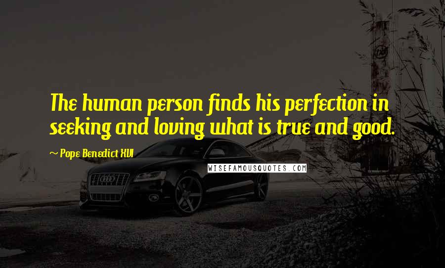 Pope Benedict XVI Quotes: The human person finds his perfection in seeking and loving what is true and good.