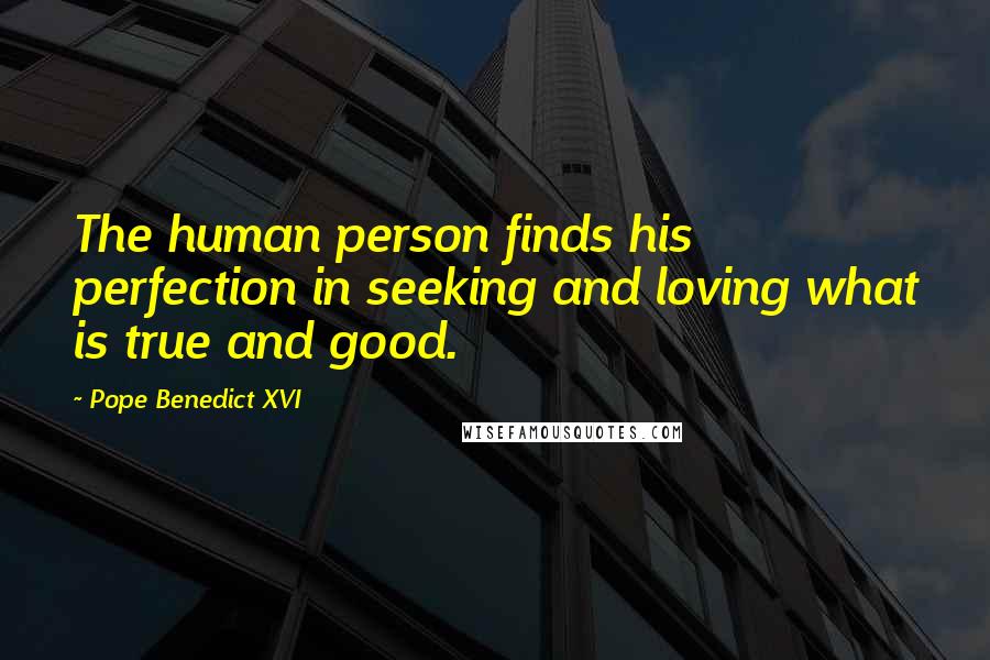 Pope Benedict XVI Quotes: The human person finds his perfection in seeking and loving what is true and good.