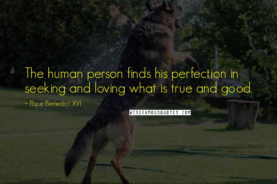 Pope Benedict XVI Quotes: The human person finds his perfection in seeking and loving what is true and good.