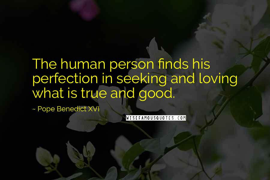 Pope Benedict XVI Quotes: The human person finds his perfection in seeking and loving what is true and good.