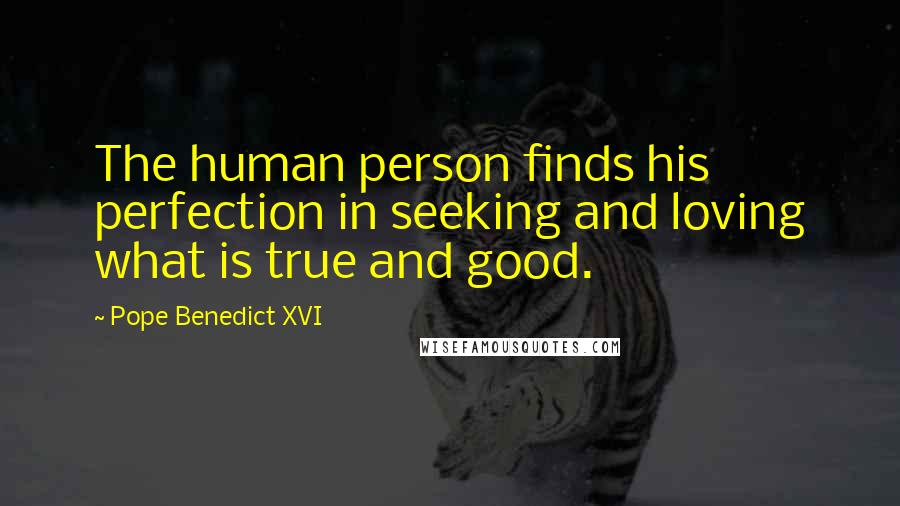 Pope Benedict XVI Quotes: The human person finds his perfection in seeking and loving what is true and good.