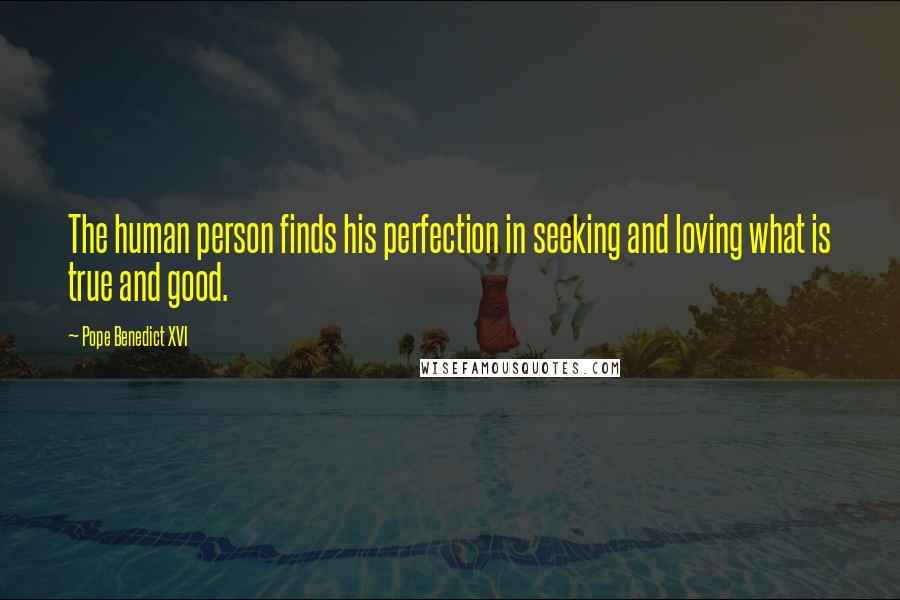 Pope Benedict XVI Quotes: The human person finds his perfection in seeking and loving what is true and good.