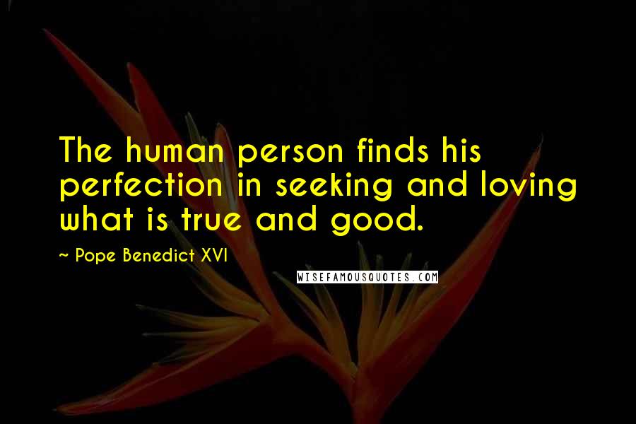 Pope Benedict XVI Quotes: The human person finds his perfection in seeking and loving what is true and good.