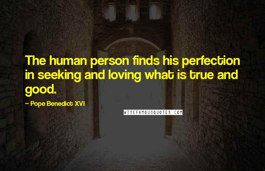 Pope Benedict XVI Quotes: The human person finds his perfection in seeking and loving what is true and good.