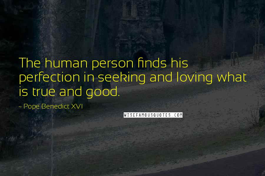 Pope Benedict XVI Quotes: The human person finds his perfection in seeking and loving what is true and good.