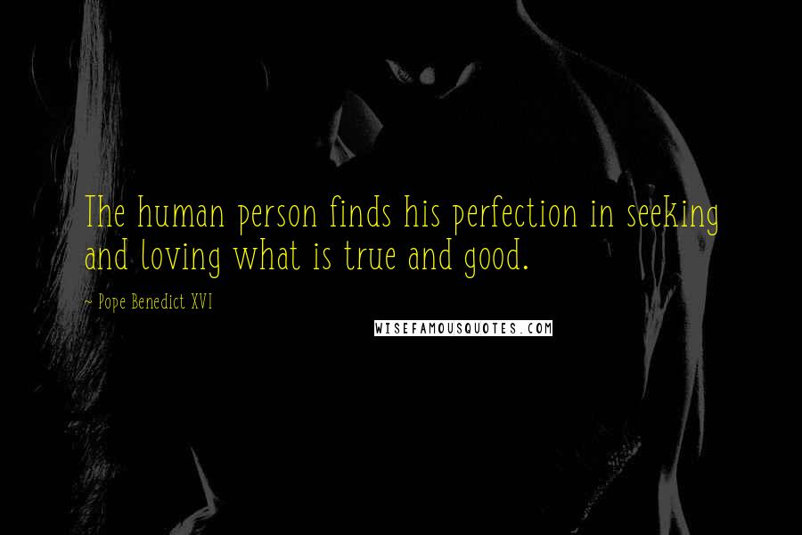 Pope Benedict XVI Quotes: The human person finds his perfection in seeking and loving what is true and good.