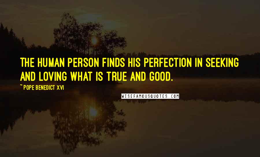 Pope Benedict XVI Quotes: The human person finds his perfection in seeking and loving what is true and good.