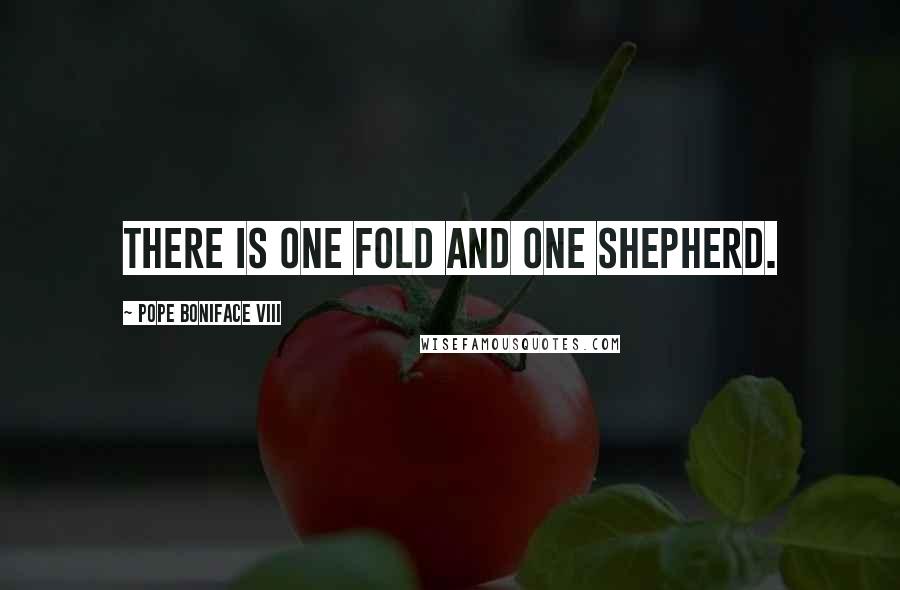 Pope Boniface VIII Quotes: There is one fold and one shepherd.