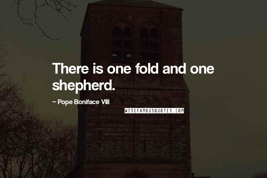 Pope Boniface VIII Quotes: There is one fold and one shepherd.