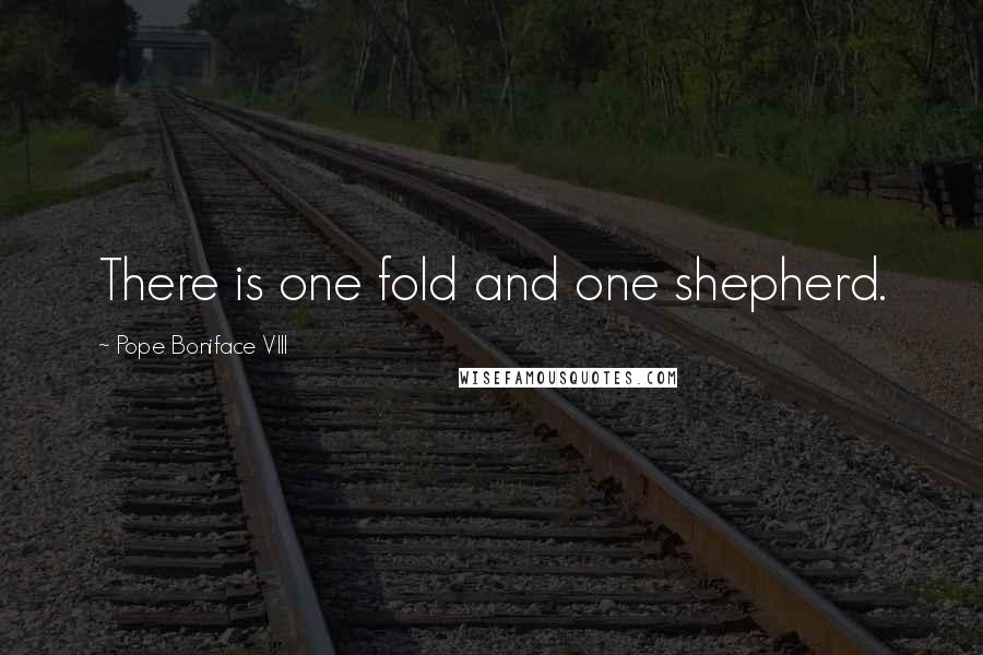 Pope Boniface VIII Quotes: There is one fold and one shepherd.