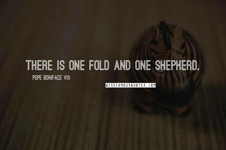 Pope Boniface VIII Quotes: There is one fold and one shepherd.