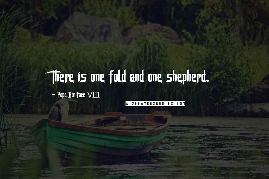 Pope Boniface VIII Quotes: There is one fold and one shepherd.