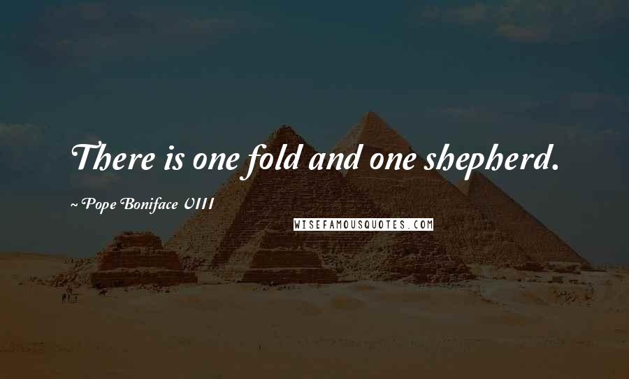 Pope Boniface VIII Quotes: There is one fold and one shepherd.