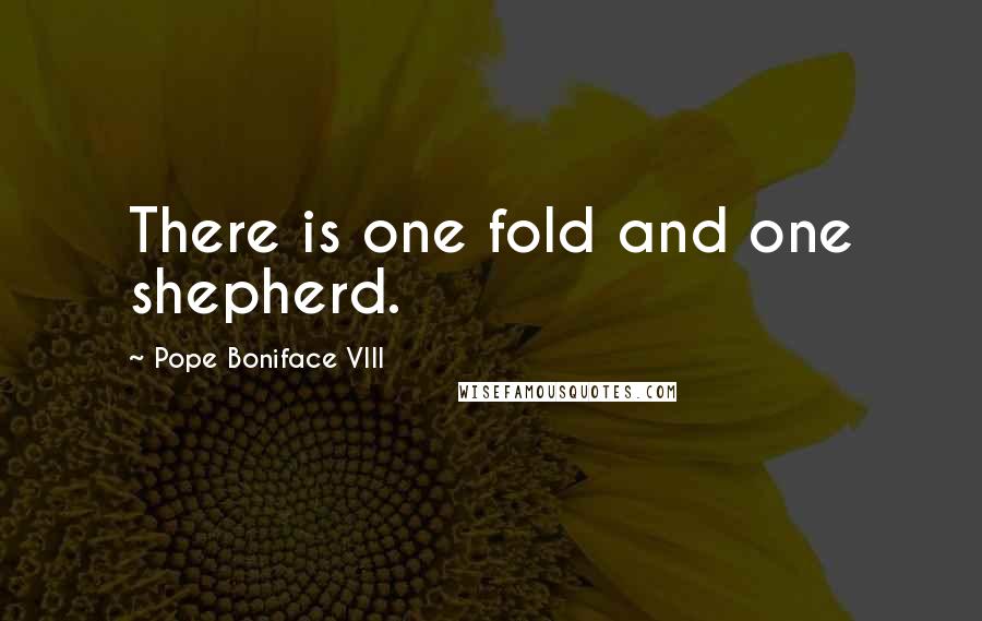 Pope Boniface VIII Quotes: There is one fold and one shepherd.