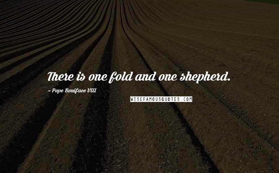 Pope Boniface VIII Quotes: There is one fold and one shepherd.