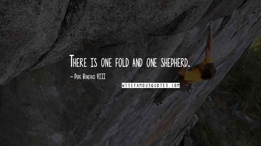 Pope Boniface VIII Quotes: There is one fold and one shepherd.