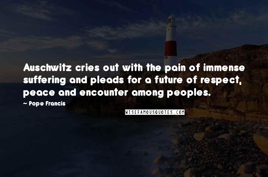 Pope Francis Quotes: Auschwitz cries out with the pain of immense suffering and pleads for a future of respect, peace and encounter among peoples.