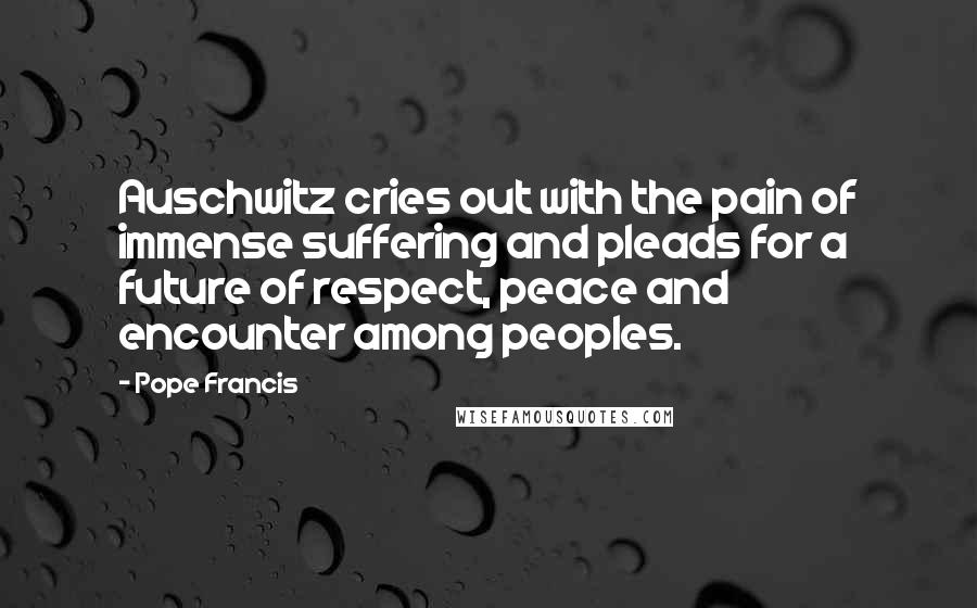 Pope Francis Quotes: Auschwitz cries out with the pain of immense suffering and pleads for a future of respect, peace and encounter among peoples.