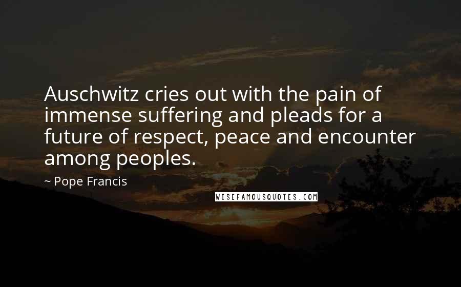 Pope Francis Quotes: Auschwitz cries out with the pain of immense suffering and pleads for a future of respect, peace and encounter among peoples.