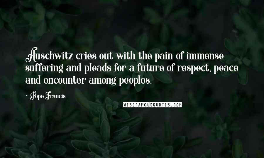 Pope Francis Quotes: Auschwitz cries out with the pain of immense suffering and pleads for a future of respect, peace and encounter among peoples.