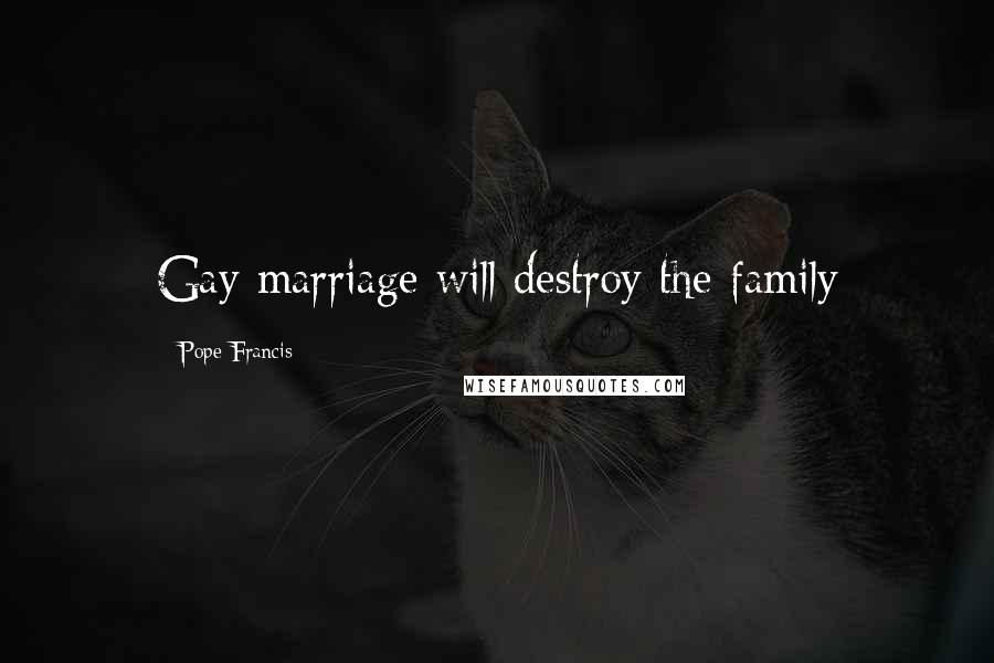 Pope Francis Quotes: Gay marriage will destroy the family