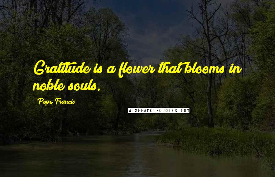 Pope Francis Quotes: Gratitude is a flower that blooms in noble souls.