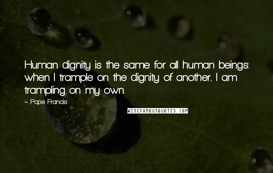 Pope Francis Quotes: Human dignity is the same for all human beings: when I trample on the dignity of another, I am trampling on my own.