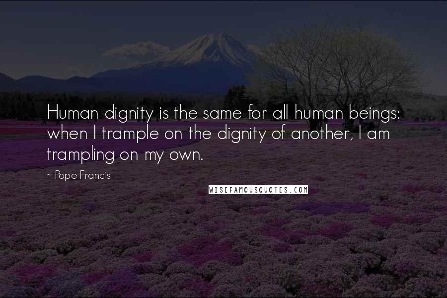 Pope Francis Quotes: Human dignity is the same for all human beings: when I trample on the dignity of another, I am trampling on my own.