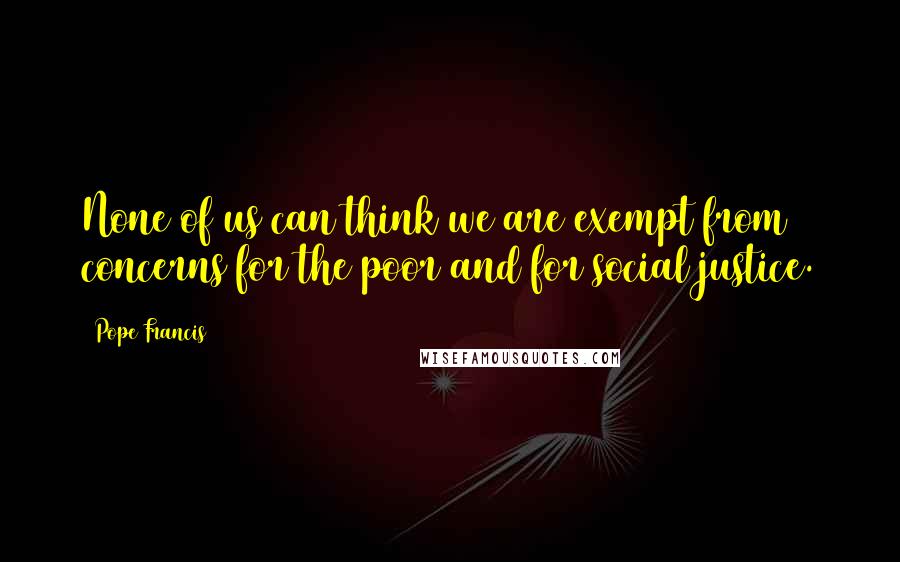 Pope Francis Quotes: None of us can think we are exempt from concerns for the poor and for social justice.