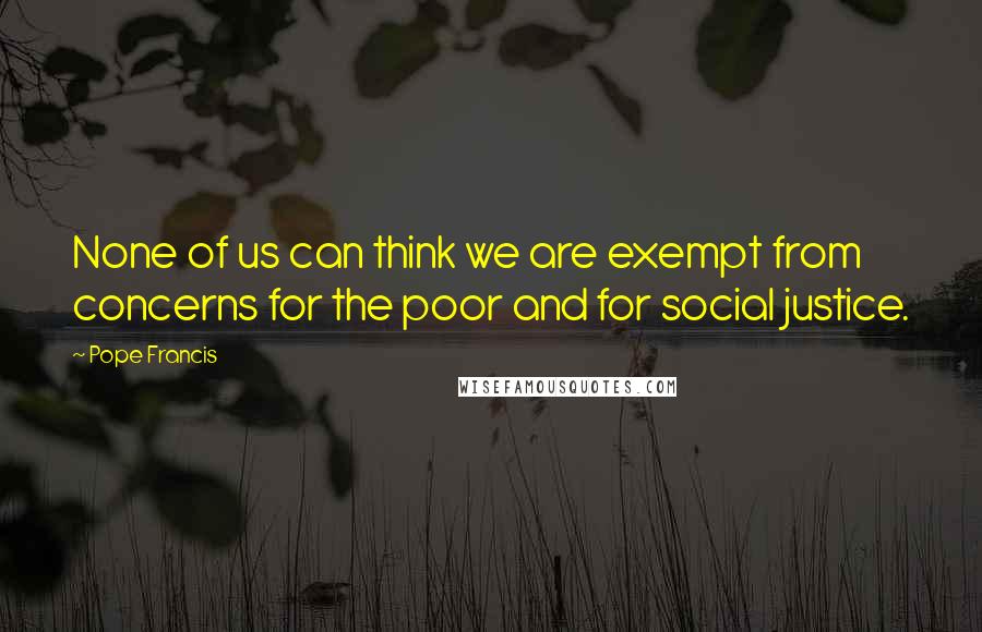 Pope Francis Quotes: None of us can think we are exempt from concerns for the poor and for social justice.