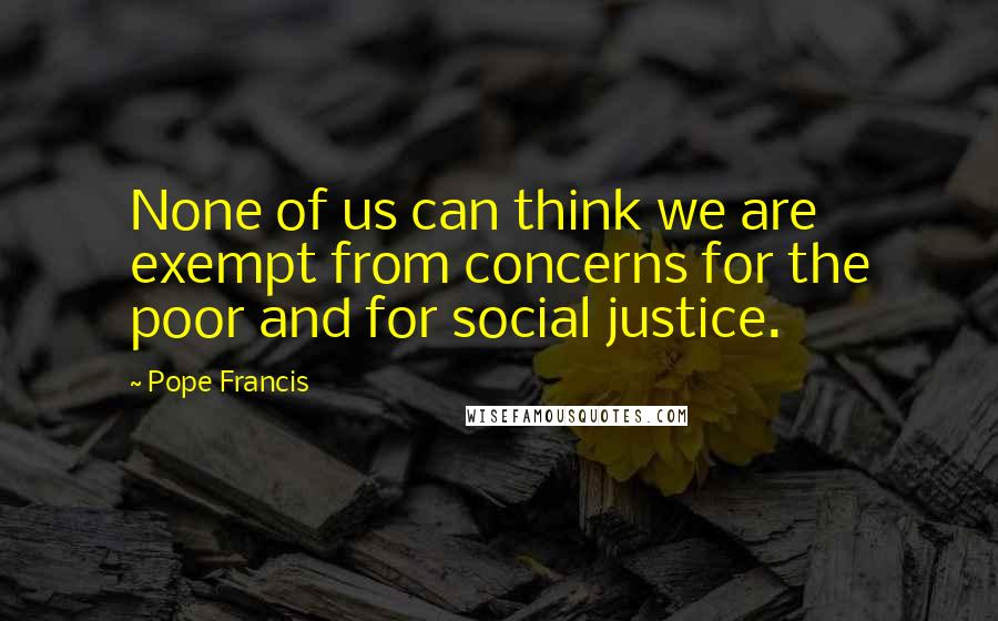 Pope Francis Quotes: None of us can think we are exempt from concerns for the poor and for social justice.