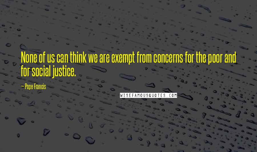 Pope Francis Quotes: None of us can think we are exempt from concerns for the poor and for social justice.
